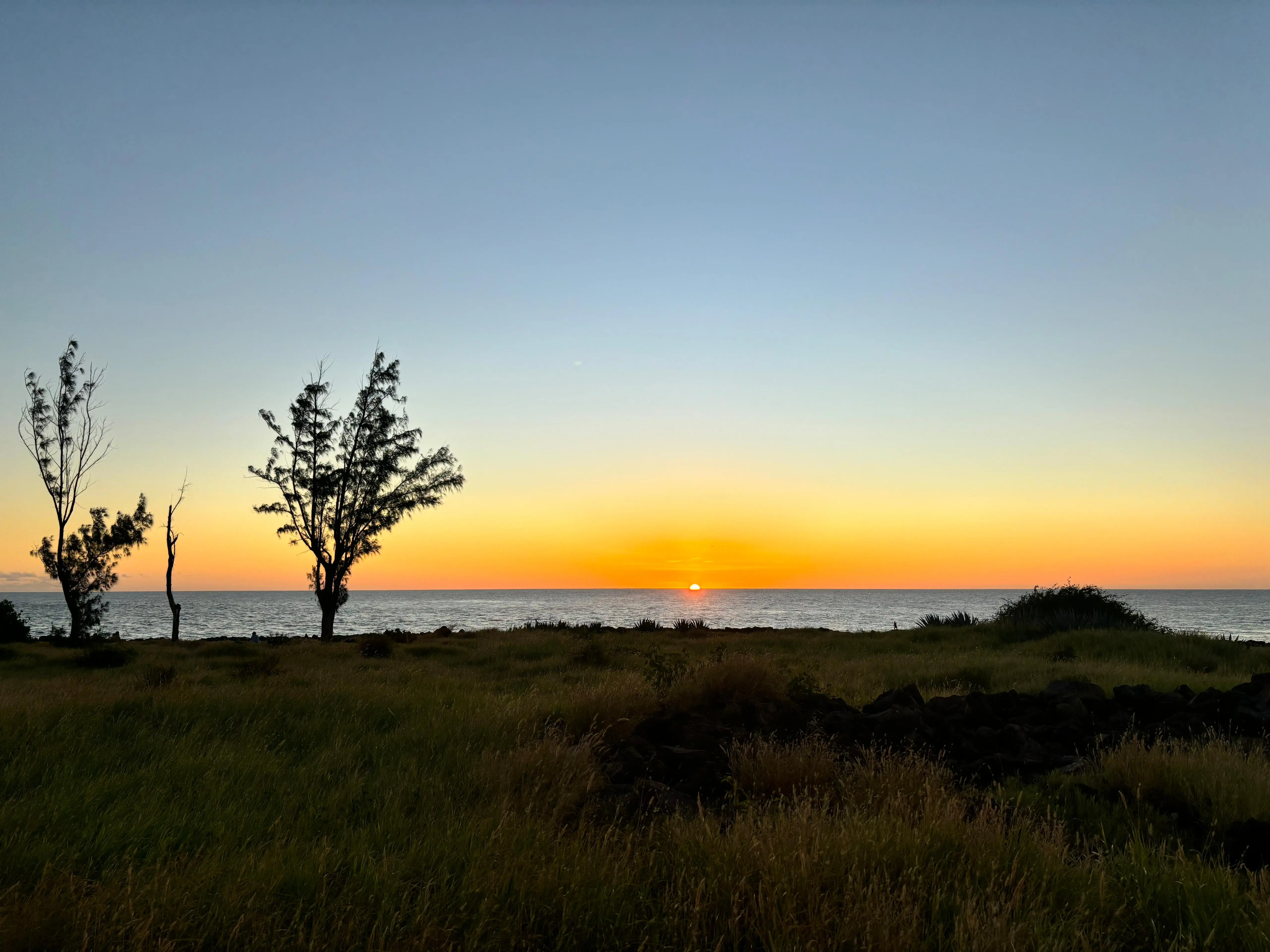 Photo accompagnement 7