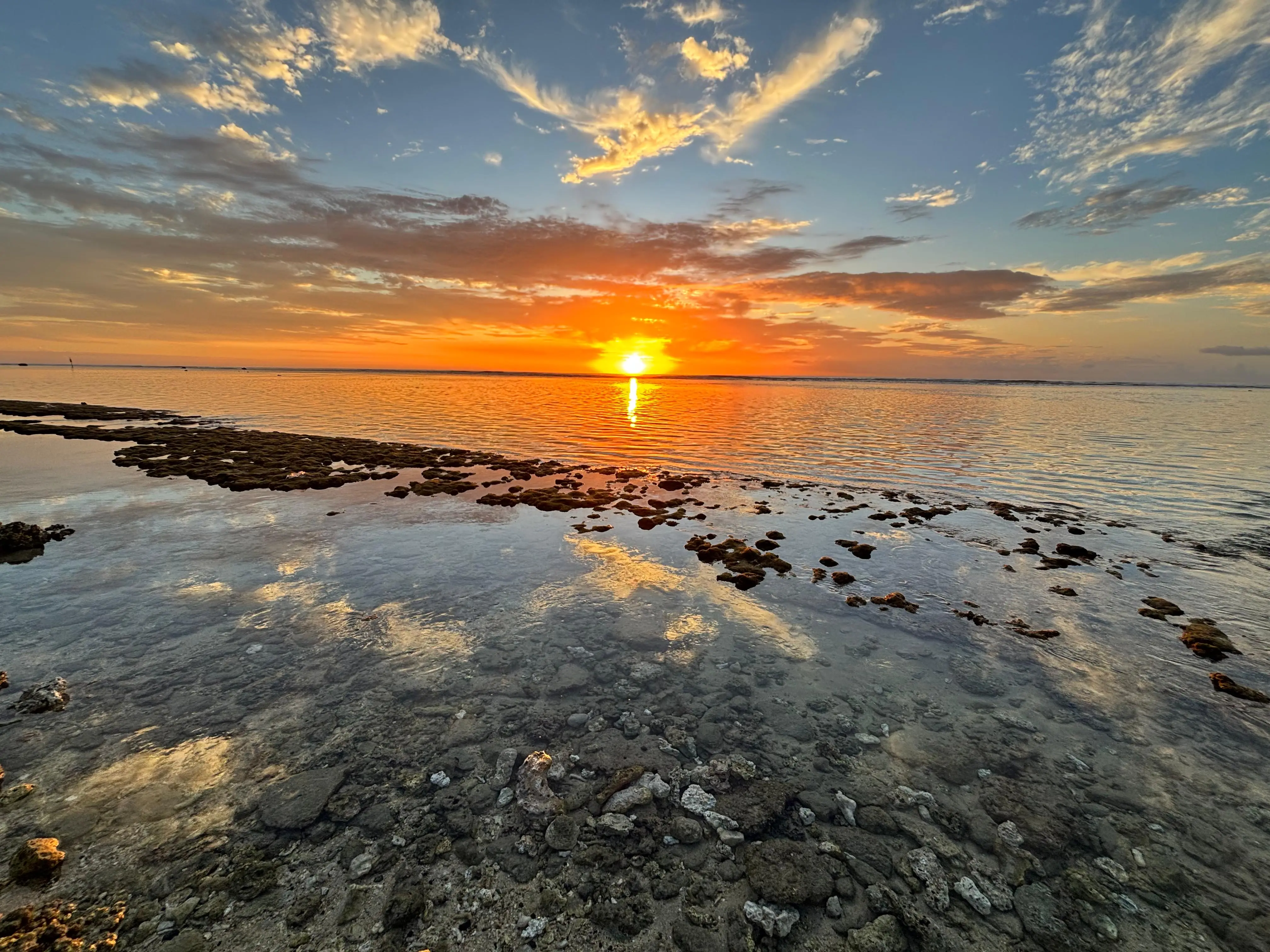 Photo accompagnement 8