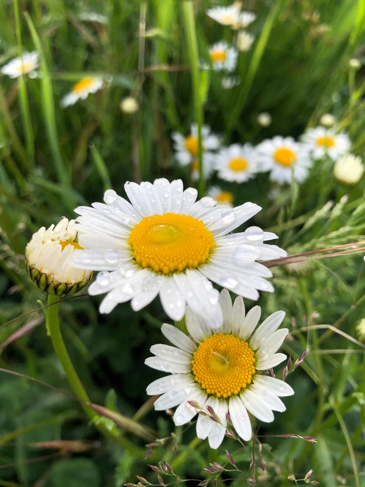 Photo accompagnement 17