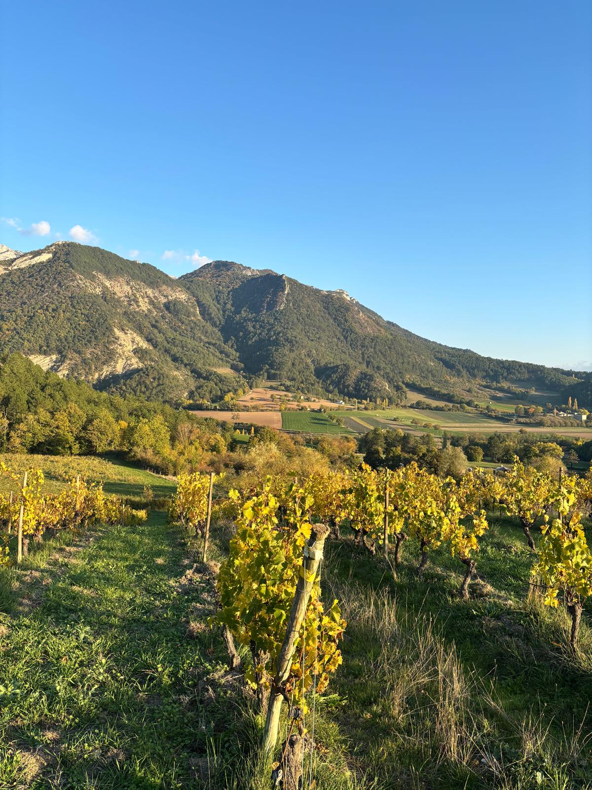 Photo accompagnement 19