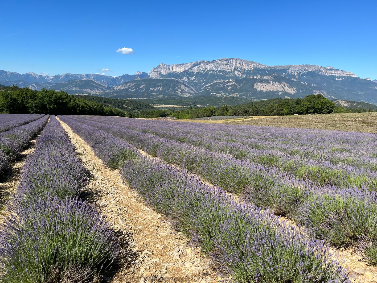 Photo accompagnement 22