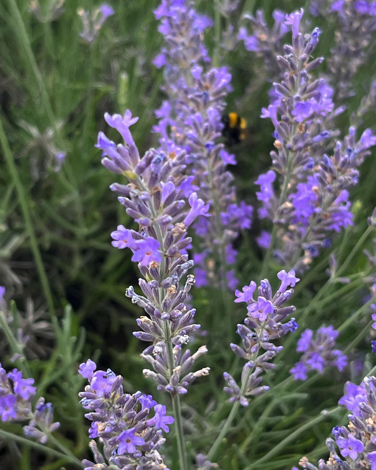Photo accompagnement 23